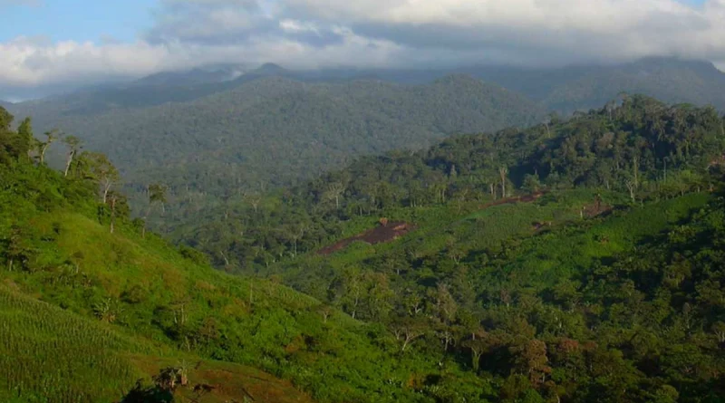 reserva de bosawas, senderismo, nicaragua,