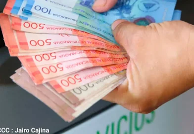 dinero, economía estable, FMI, BCN, Fondo Monetario Internacional,