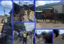nicaragua, enacal, sistema de agua potable, matagapal,