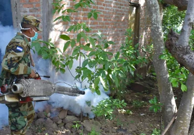 ejercito de nicaragua, fumigacion, abatizacion, matagalpa,