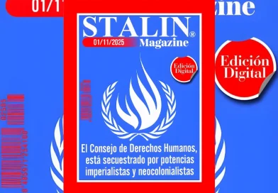 opinion, onu, derechos humanos,