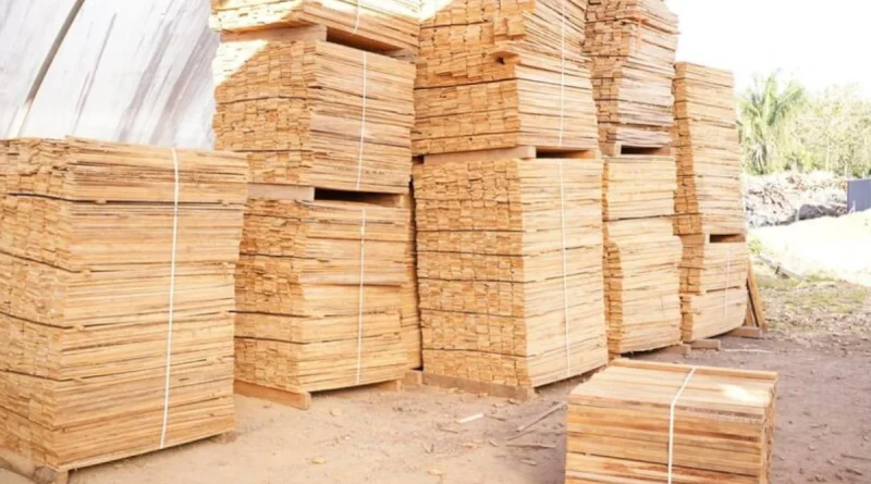 nicaragua, gobierno sandinista, nicargua, marena, nicargua,