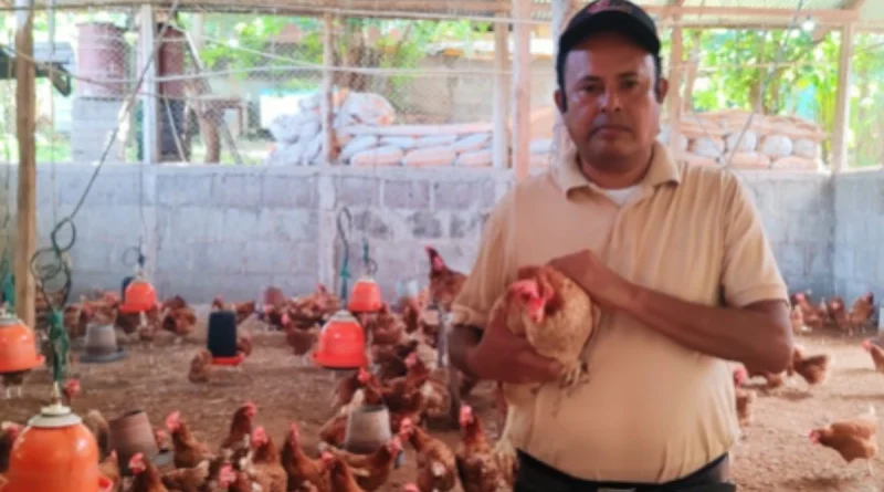 Nicaragua, gobienro sandinista, innovación, genética, inta,