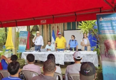 ipsa, nicaragua, costa caribe sur, raccs, el ayote, gusano barrenador, productores,