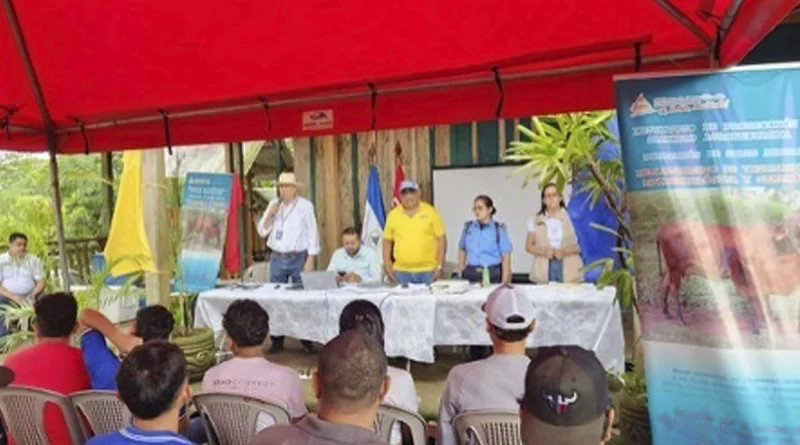 ipsa, nicaragua, costa caribe sur, raccs, el ayote, gusano barrenador, productores,