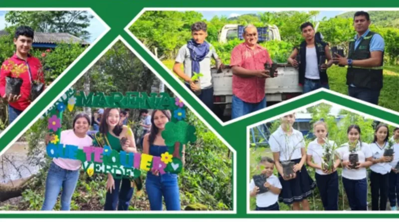 Chontales, MARENA, reforestación, plantas, producción de plantas, Campaña Nacional Verde que te Quiero Verde,
