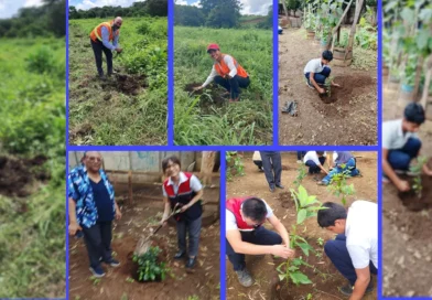 marena, nicaragüa, reforestación, Managua,