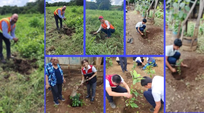 marena, nicaragüa, reforestación, Managua,