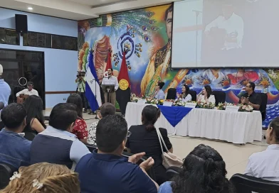 mined, educacion artistica, arte, cultura, congreso,