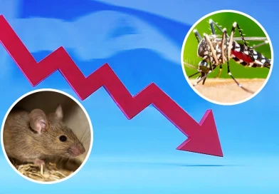 minsa, nicaragua, informe semanal, disminución, malaria, leptospirosis, aumento de dengue, salud