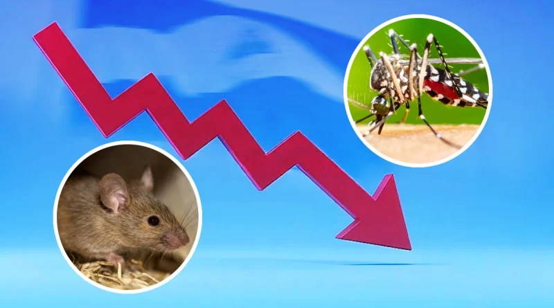 minsa, nicaragua, informe semanal, disminución, malaria, leptospirosis, aumento de dengue, salud