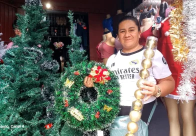 mercado Ivan Montenegro, comerciantes, productos navideños, variedad de productos,