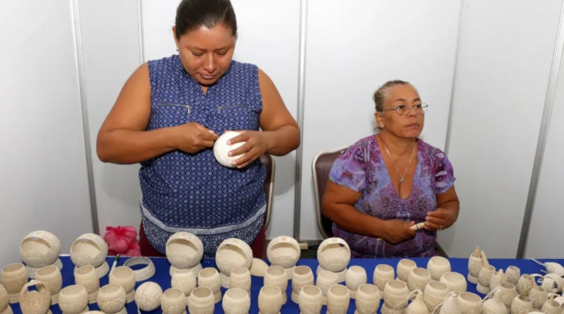 ministerio de la mujer, nicaragüa, Gobierno Sandinista, nicaragua. gobierno de nicaragaua,