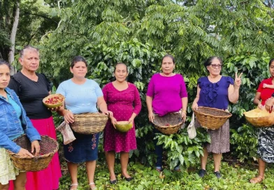 inta, mujeres, cafe, matagalpa,