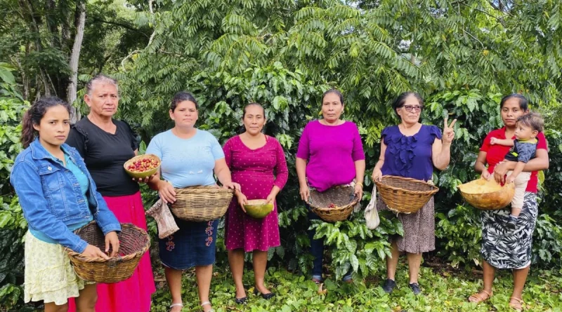 inta, mujeres, cafe, matagalpa,