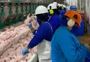 carne de pollo, produccion, nicaragua,