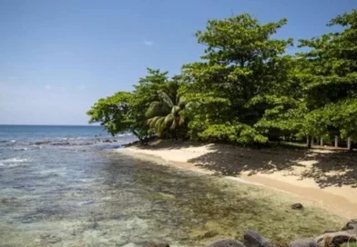 costa caribe, nicaragua, lo deje vivo, opinión