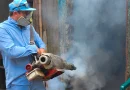 minsa, barrio mirna ugarte, distrito 3 de managua, jornada de fumigación, lucha contra dengue