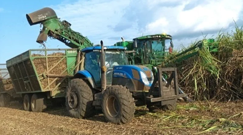 azucar, nicaragua, ministerio agropecuario, caña, economia,