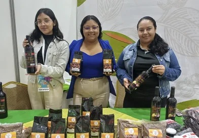 nicaragua, nicaragua es cafe, cafe, caficultura,