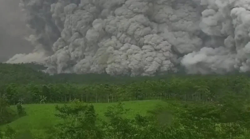 Imagen, erupción del volcán Semeru, Indonesia, webcam, video, flujo piroclástico, alerta, nivel máximo, viral,
