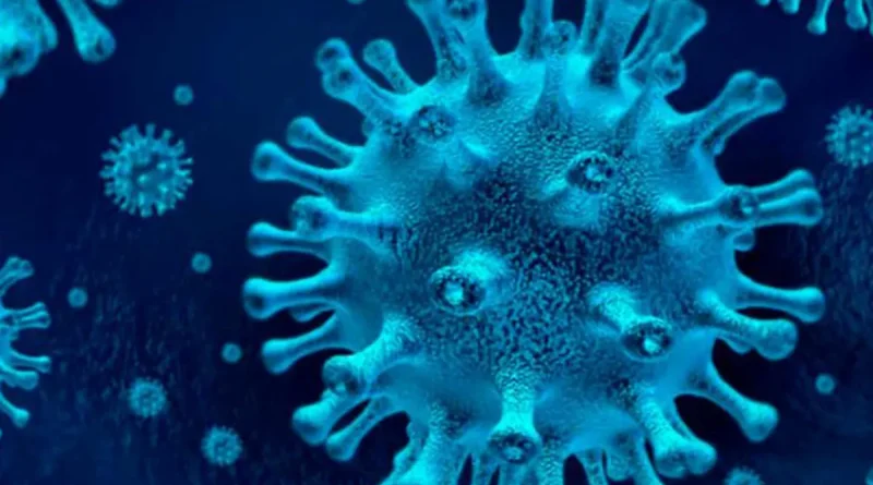 nicaragua, minsa, virus, dengue