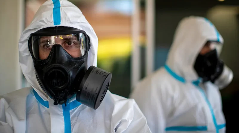 España, alerta, peste porcina africana, brote, Cataluña, salud, PPA,