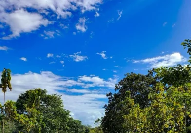 ineter, clima, 26 de diciembre de 2025, temperaturas, ambiente caluroso, vientos fuertes, nicaragua, regiones de nicaragua, lluvias en caribe