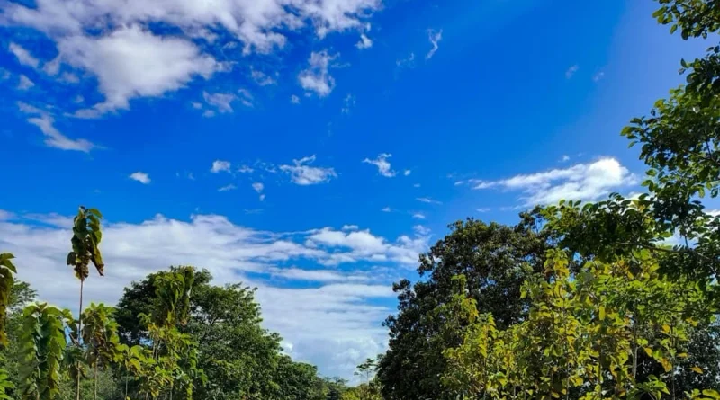 ineter, clima, 26 de diciembre de 2025, temperaturas, ambiente caluroso, vientos fuertes, nicaragua, regiones de nicaragua, lluvias en caribe