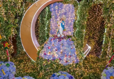 rosario murillo, la purisima nicaragua, concepcion de maria, mensaje 8 de diciembre, unidad familiar, fe y paz nicaragua, multinoticias canal 4, tradicion mariana