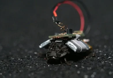 tecnología, cucaracha espía, plataforma de espionaje, SWRM Biatctics, cucarachas espías,