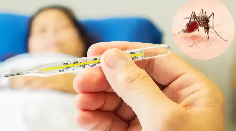 Nicaragua, epidemiología, dengue, Neumonía, influenza, malaria, enfermedad, casos disminución, noviembre,