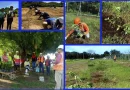 enacal, nicaragua, leon, el viejo, recarga hidrica, reforestacion,