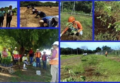 enacal, nicaragua, leon, el viejo, recarga hidrica, reforestacion,