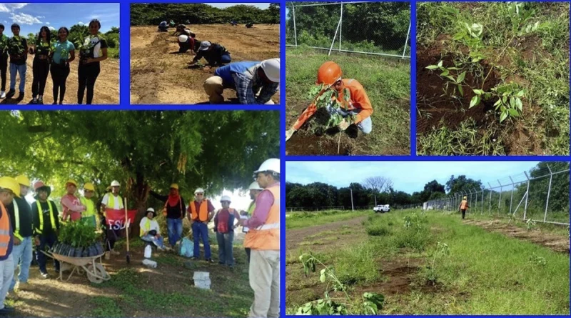 enacal, nicaragua, leon, el viejo, recarga hidrica, reforestacion,