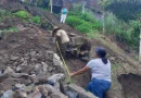 enacal, alcaldia de matagalpa, sistema de agua potable, nueva infraestructura, servicios básicos, calidad de vida, desarrollo comunitario