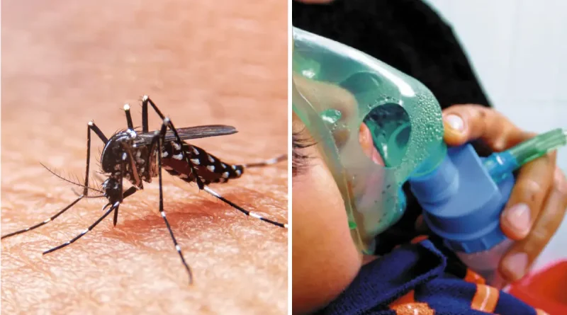 Dengue, Neumonía, Nicaragua,