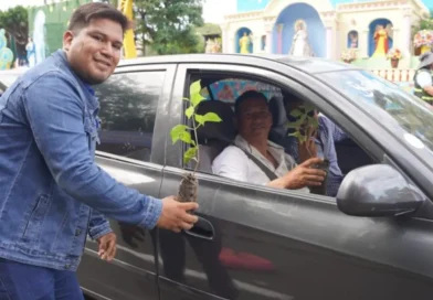 MARENA, entrega, adopta un madroño, Managua, adopción de árboles, Purísima,