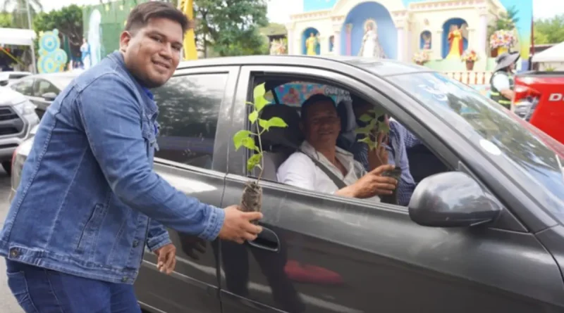MARENA, entrega, adopta un madroño, Managua, adopción de árboles, Purísima,