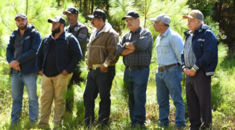 marena, Nicaragua, gobierno sandinista, marena,