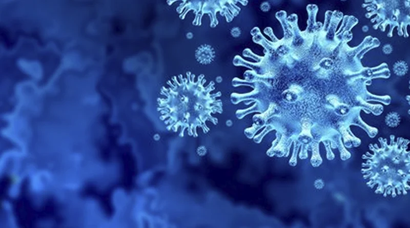 minsa, covid 19, coronavirus, informe, casos,