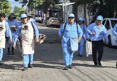 nicaragua, minsa, jornada de abatizacion, fumigación, bertha Calderon