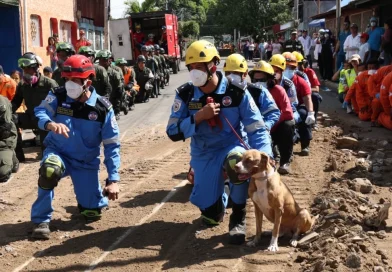 ejercicio multiamenazas, nicaragua, ejercito de protección a la vida,