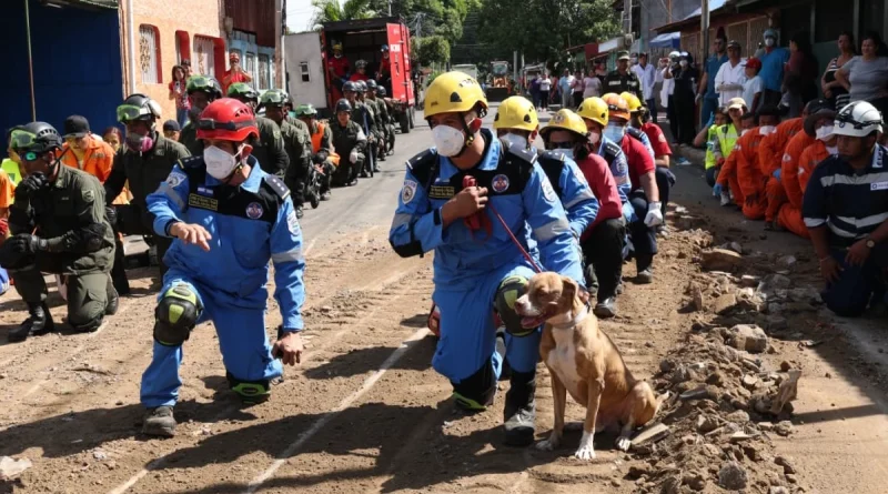 ejercicio multiamenazas, nicaragua, ejercito de protección a la vida,