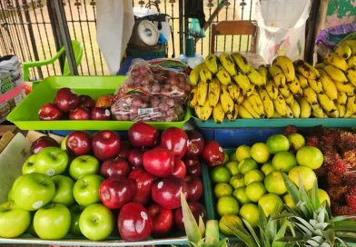 nicaragua, mercados, alimentos, abastecimientos,