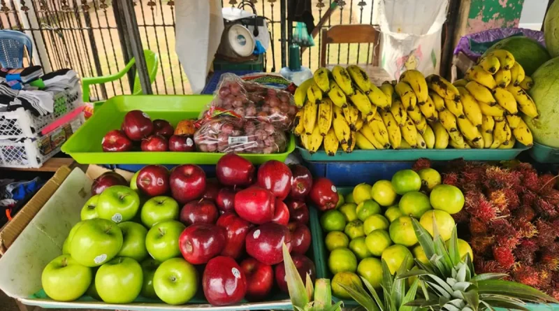 nicaragua, mercados, alimentos, abastecimientos,
