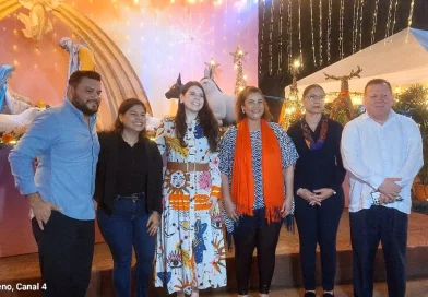 avenida bolivar, nacimientos, niño dios,