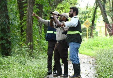 marena, nicaragua, gobierno de nicaragua, reporte del año 2025, recorridos de campo, proteccion ambiental en nicaragua