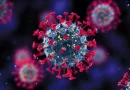 coronavirus, minsa, gobierno de nicaragua, sin fallecimientos de covid-19, informe semanal de minsa, nicaragua