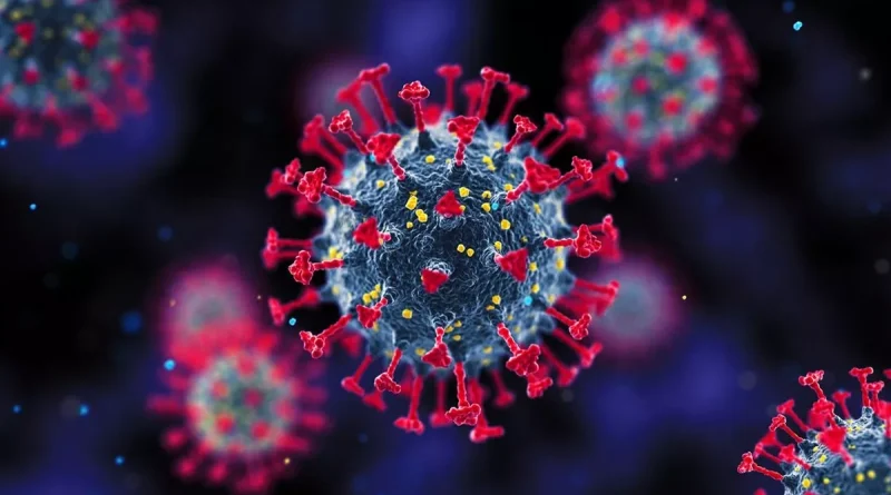coronavirus, minsa, gobierno de nicaragua, sin fallecimientos de covid-19, informe semanal de minsa, nicaragua